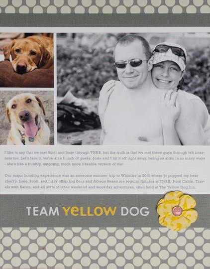 Team Yellow Dog