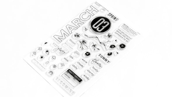 Stamp Set : 4×6 March Highlights gallery