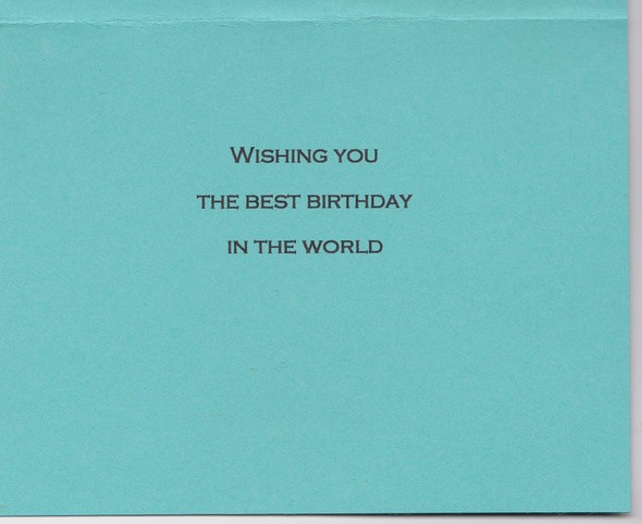 Best Birthday in the World by penny gallery