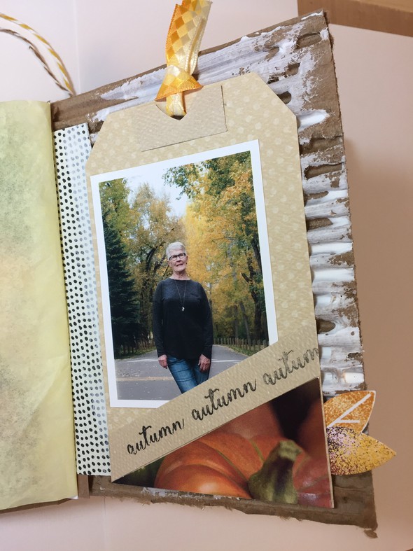 Fall 2016 (upcycled Album) in Upcycled Crossover Mini Album gallery