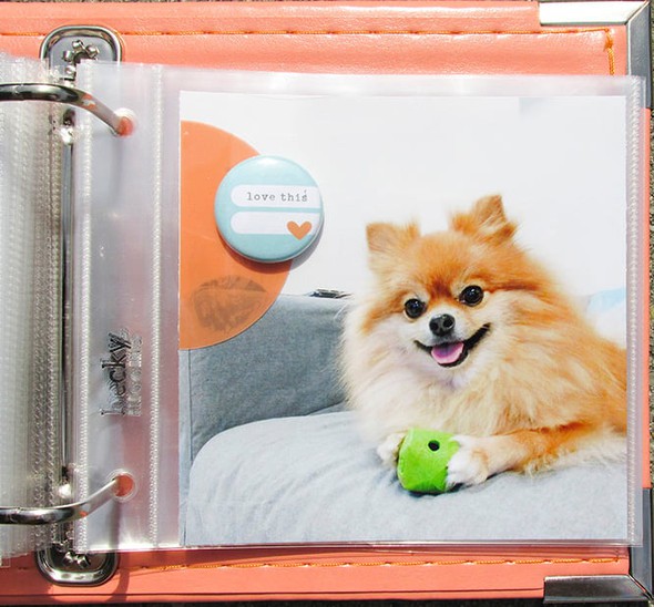 Puppy Love 4x4 Mini-Album by shayneb gallery