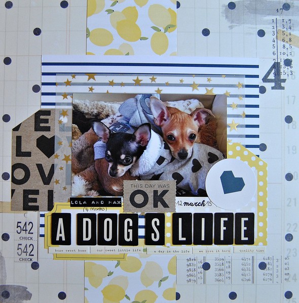 A Dog's Life by mf2000 gallery