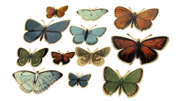 239494 adventurers12pcplasticbutterflies slide2 original