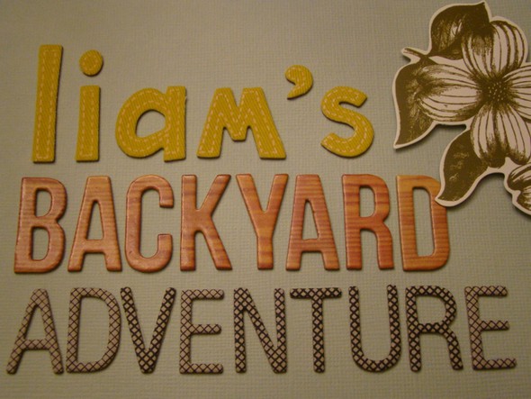 Backyard Adventures! by danielle1975 gallery