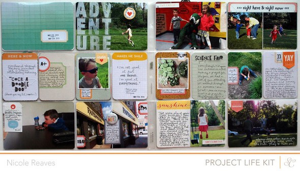 Project Life : Week 21 : PL kit only by nicolereaves gallery