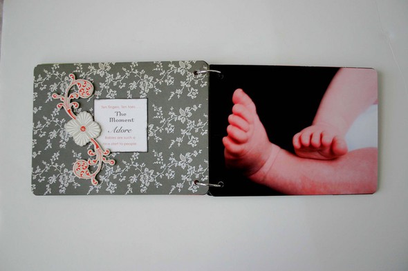 Baby Mine Album *New Cosmo Everafter by vtpuggirl gallery