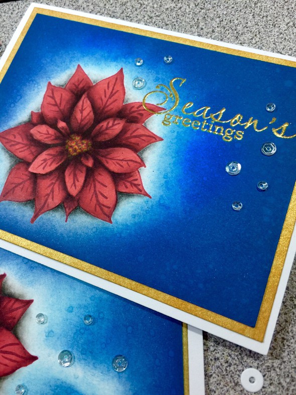 Poinsettia Cards by Kzaban gallery