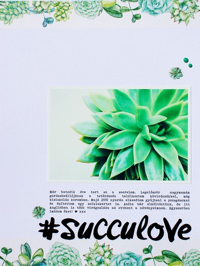 Succulents love 