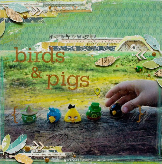 Birds & Pigs