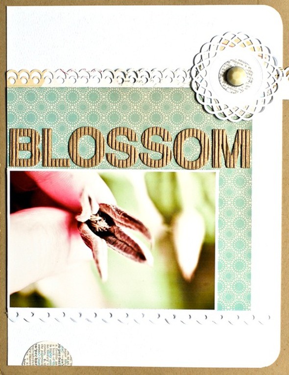 Blossom by Margrethe gallery