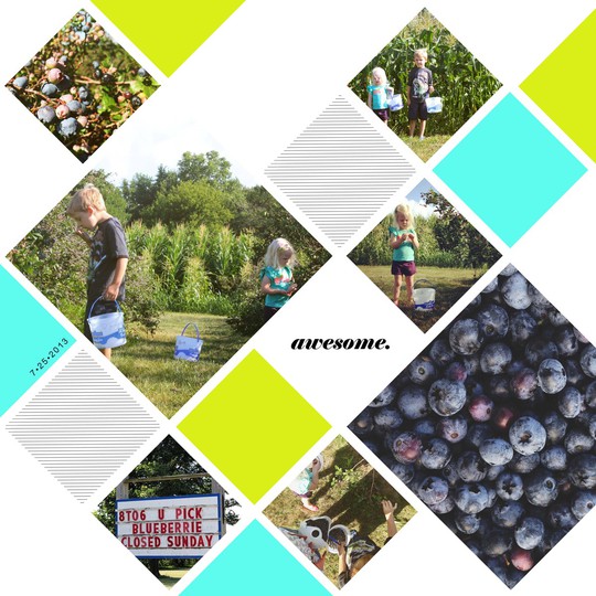 Blueberry picking. awesome.