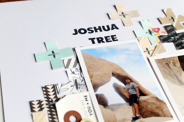 Joshua Tree by olatz gallery