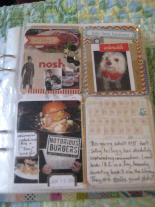 PL January 2013 by sweetie gallery