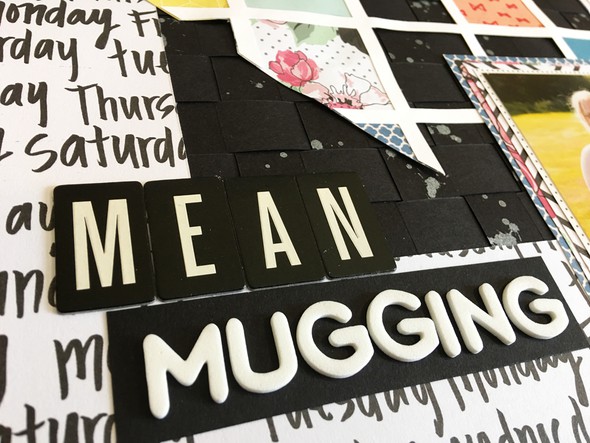 Mean Mugging by Jillianne gallery
