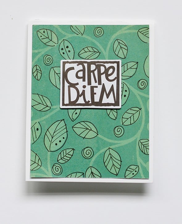 Carpe Diem by dewsgirl gallery