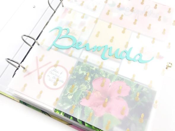 Bermuda Album | Introduction Pages by larkindesign gallery