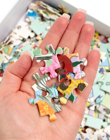 Birds Blooms Across America 300 Piece Jigsaw Puzzle 1canoe2