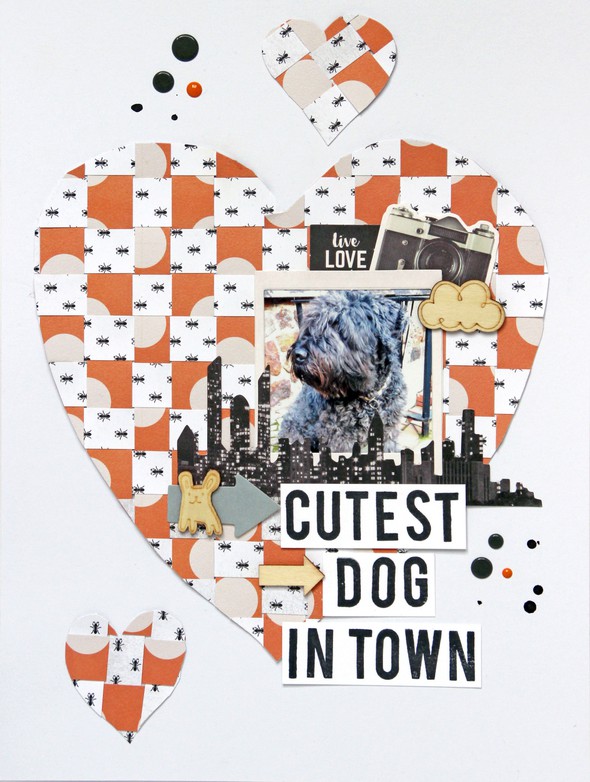 Cutest dog in town by AnkeKramer gallery