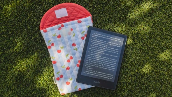 Cherry Striped Quilted E-Reader Case gallery