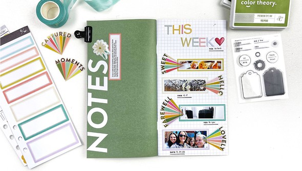 The Sweet Life Traveler's Notebook Kit gallery