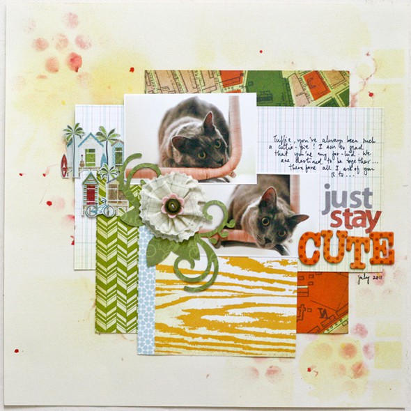 Just Stay Cute by jcchris gallery