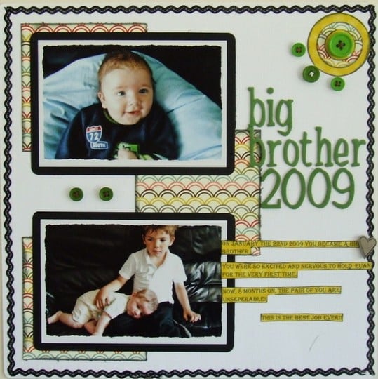big brother 2009