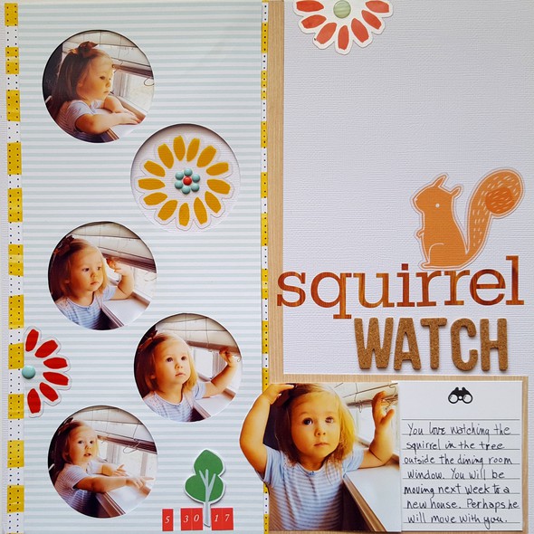 Squirrel Watch by pinksoup gallery