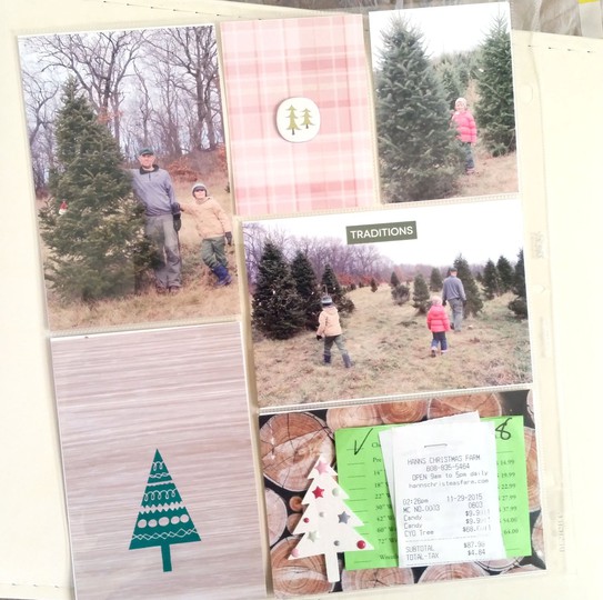 November PL Insert | Getting our Christmas Tree