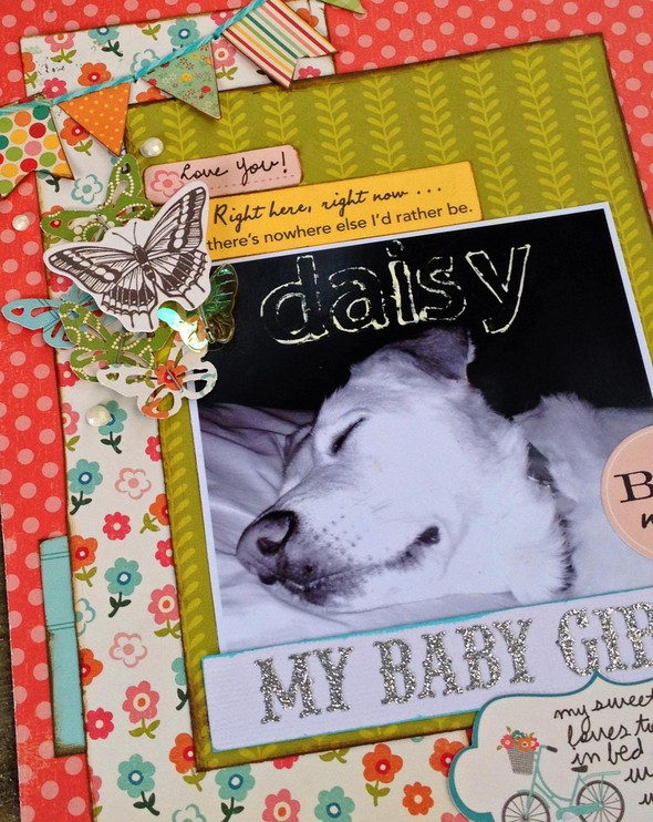 Daisy-My Baby Girl (Weekly Challenge) by supertoni gallery