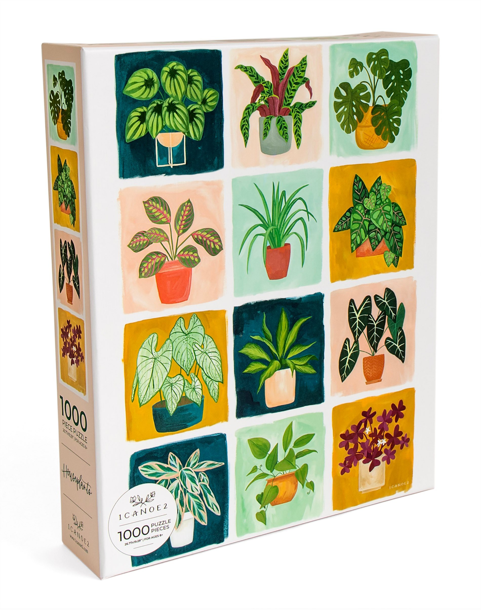 Houseplant 1000pc Puzzle Houseplant 1000pc Puzzle