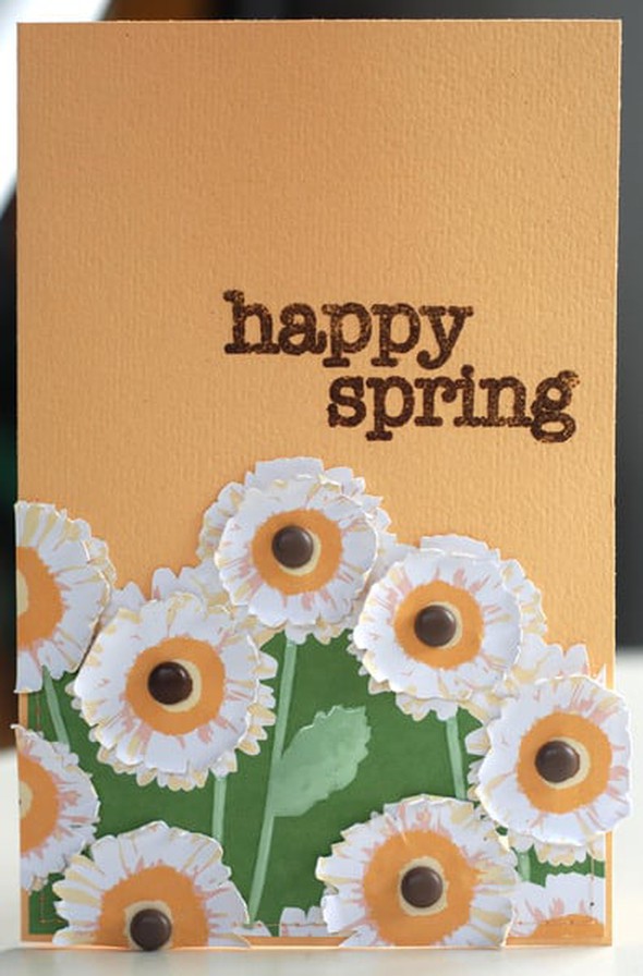 Happy Spring by brandtlassen gallery