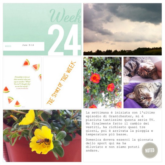 Project Life 2015 | Week 24