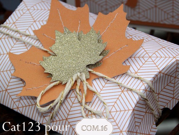 card + gift box by cat123 gallery