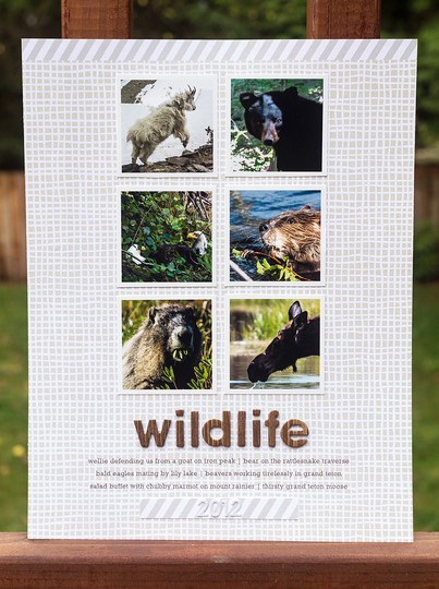 Wildlife 2012