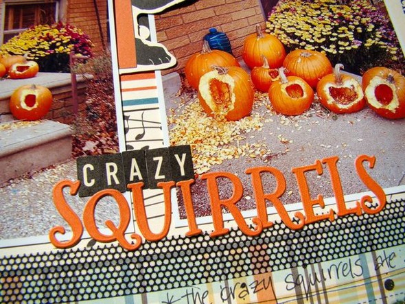 Crazy Squirrels by danielle1975 gallery