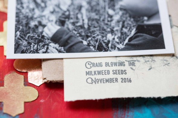 Blowing milkweed seeds by mandy1632 gallery