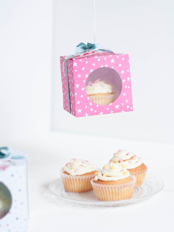 Cupcake Box by CreativeNikki gallery