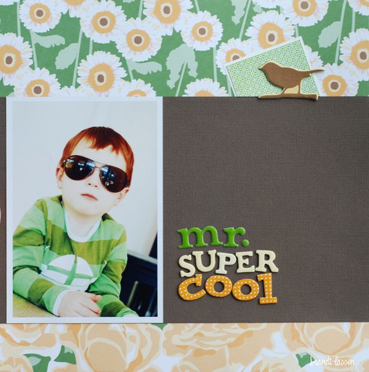 Mr. Super Cool