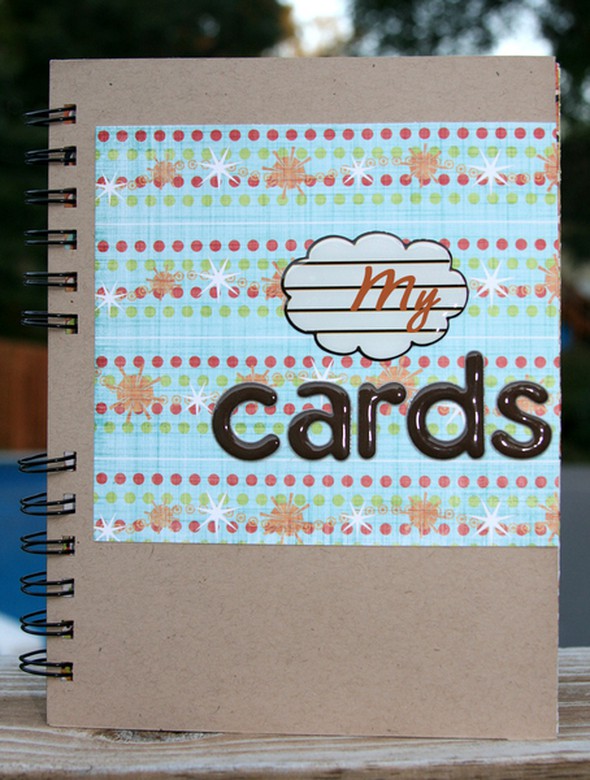 Bind it All Challenge:  Card Organizer by DeniseN gallery