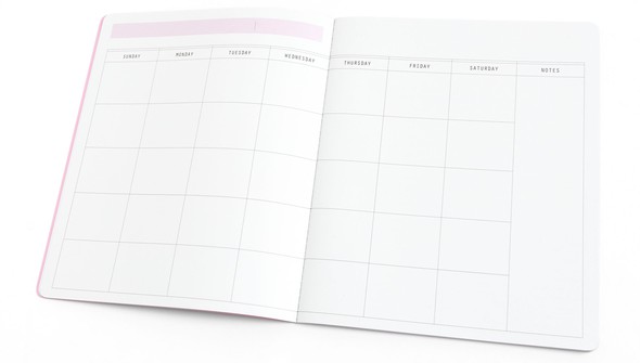 Stop The Blur Planner Booklet - Pinkity gallery