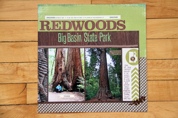 Big Basin Redwoods State Park by jlharbal gallery