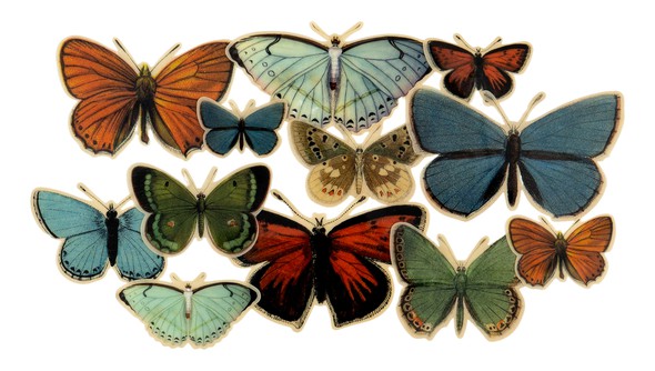 Adventurers Plastic Butterflies gallery
