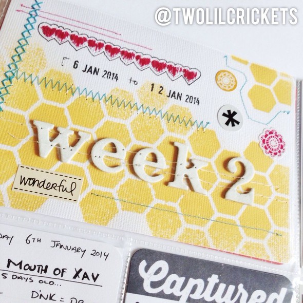 Week Two - Project Life 2014 by twolilcrickets gallery