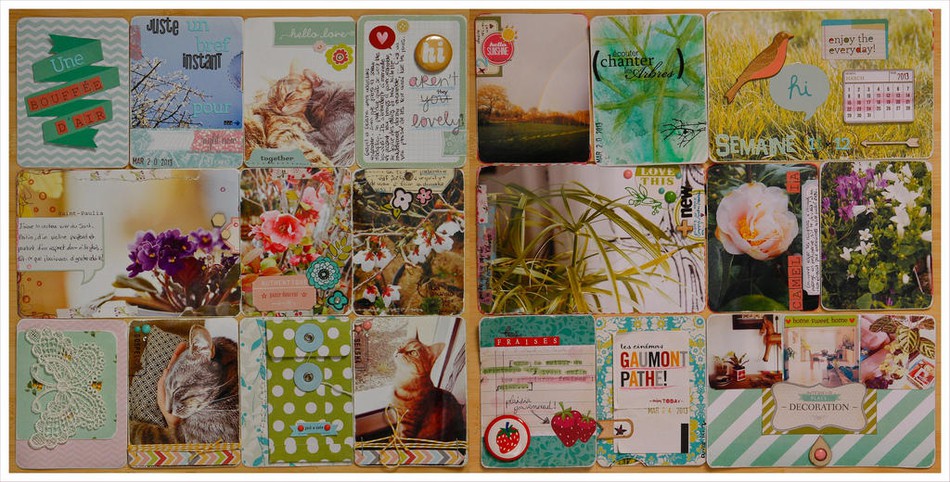 Project Life - Week 11 and 12 - Double layout