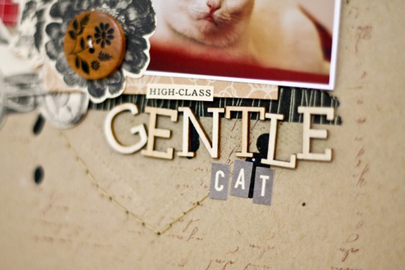 Gentle Cat by jcchris gallery