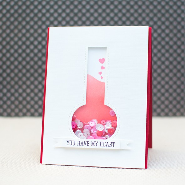 Valentine’s Day Shaker Card by May_ gallery