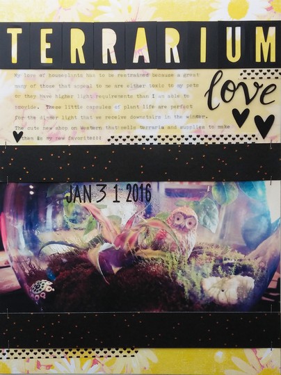 terrarium love