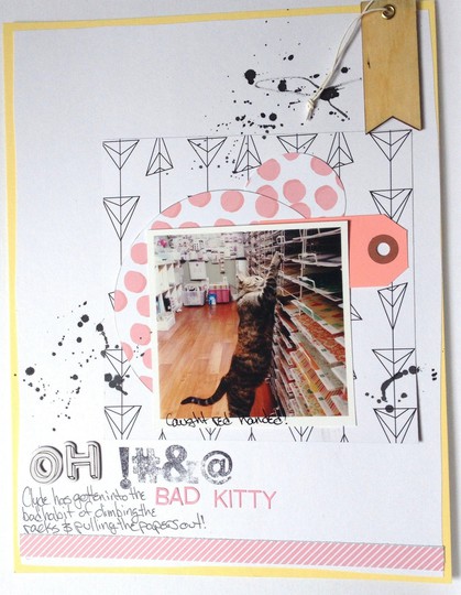 Oh !#&@ Bad Kitty