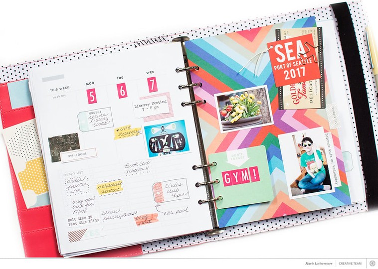 hello forever planner studio calico where to buy