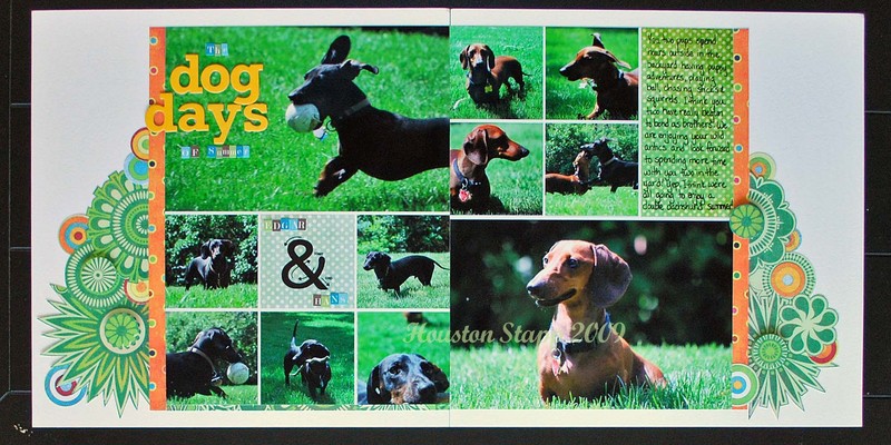 The dog days of summer   houston stapp   2009 copy